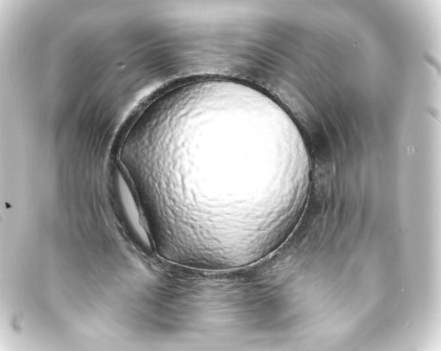 X0000093230628200710241236