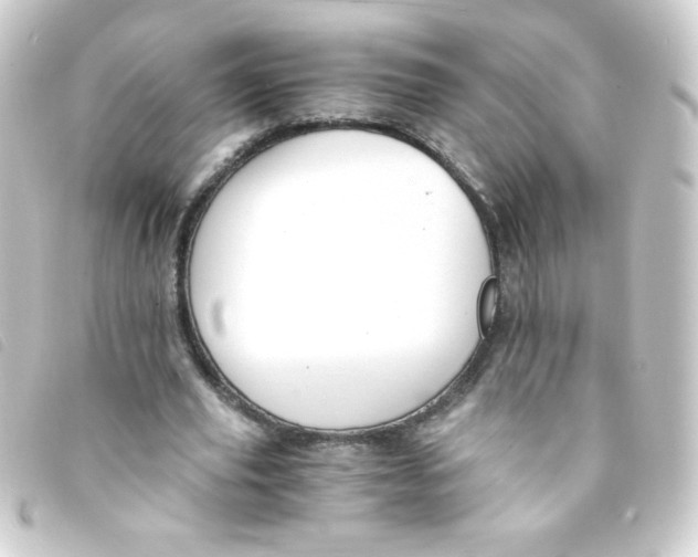 X0000093230629200710241236