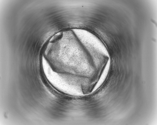 X0000093230630200710241236