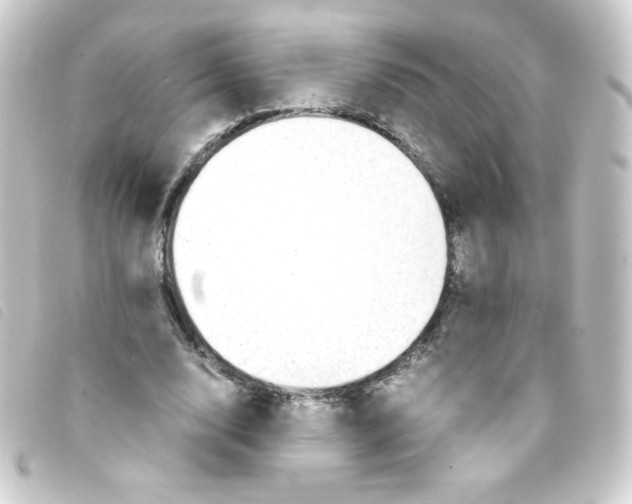 X0000093230632200710241236