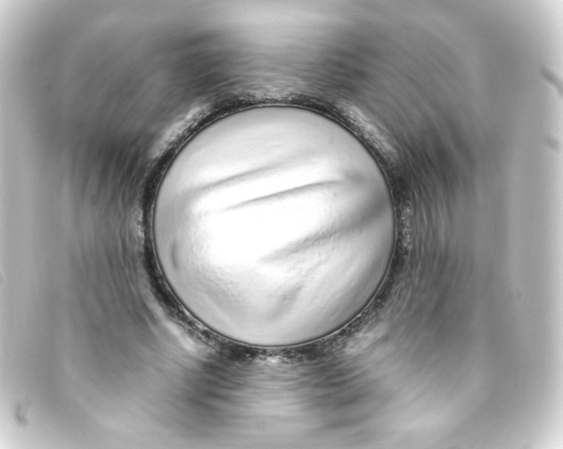 X0000093230634200710241236