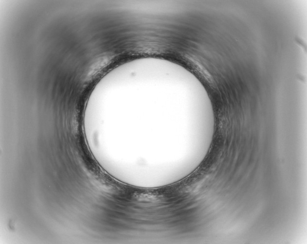 X0000093230635200710241236