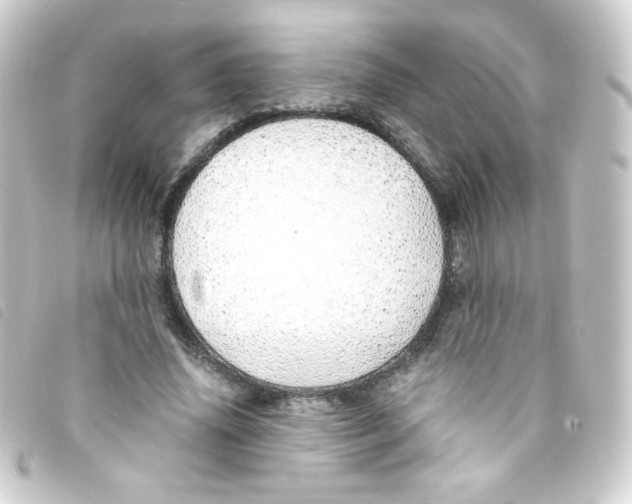 X0000093230636200710241236