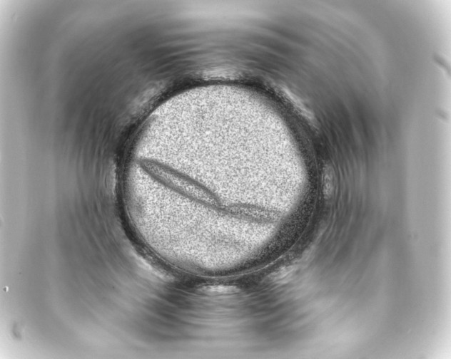 X0000093230637200710241236