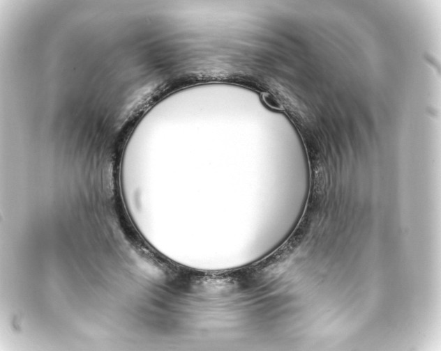 X0000093230638200710241236