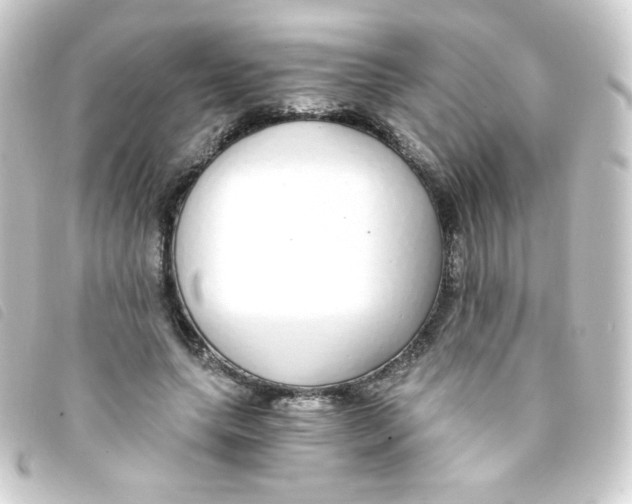 X0000093230639200710241236