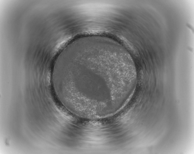 X0000093230640200710241236