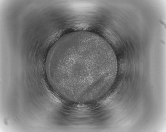 X0000093230641200710241236