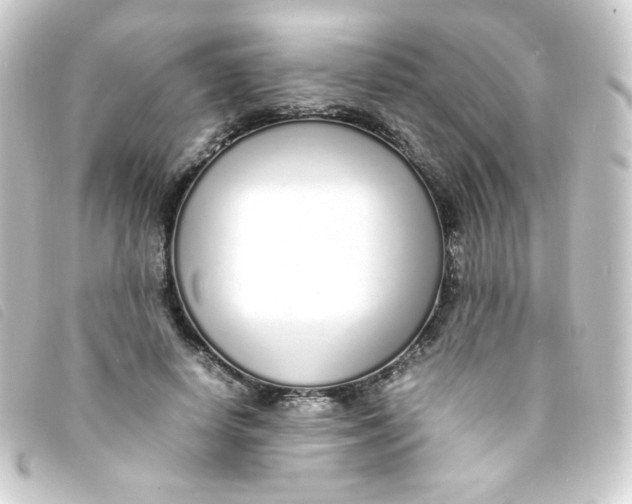 X0000093230642200710241236