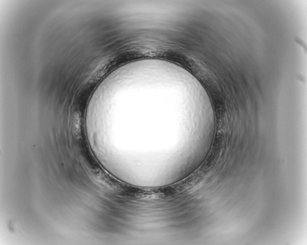 X0000093230646200710241237