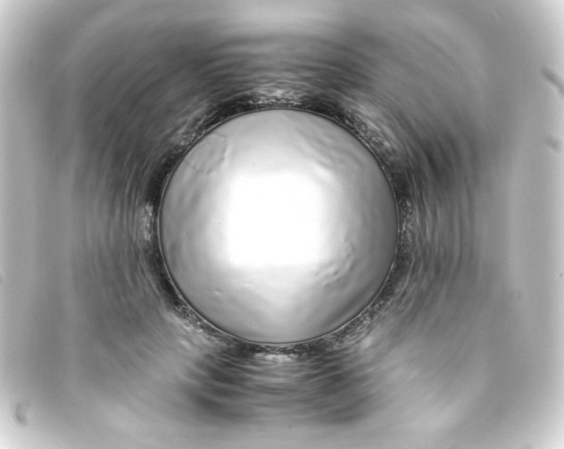 X0000093230649200710241237