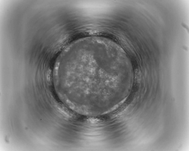 X0000093230650200710241237