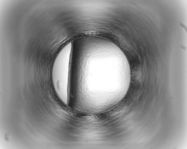 X0000093230652200710241237