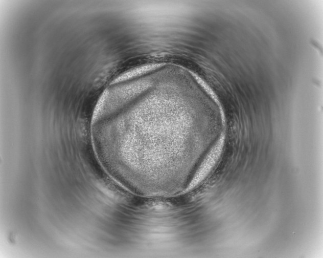 X0000093230654200710241237