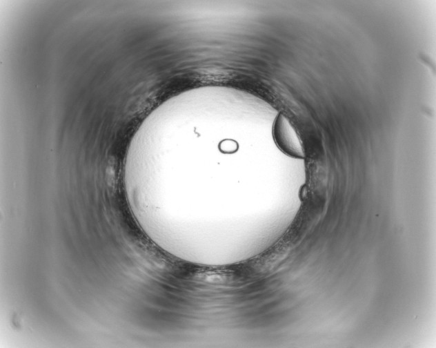 X0000093230655200710241237