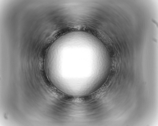 X0000093230656200710241237