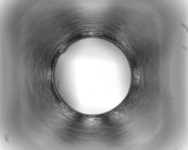 X0000093230657200710241237