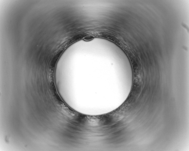 X0000093230658200710241237