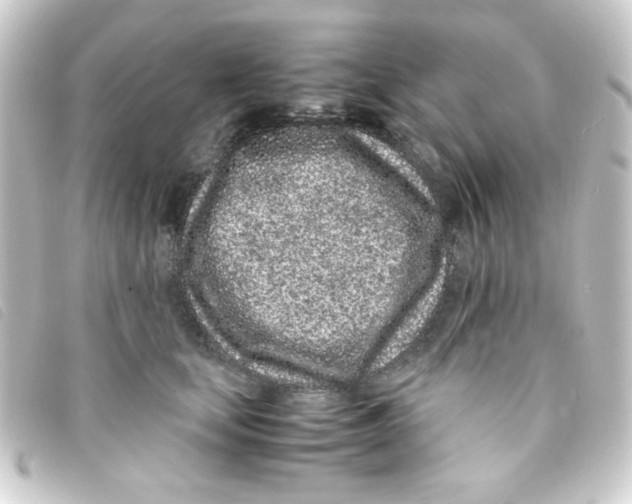 X0000093230659200710241237