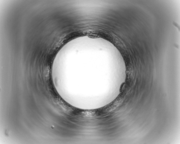 X0000093230660200710241237