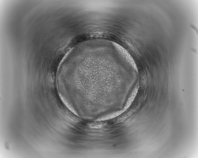 X0000093230661200710241237