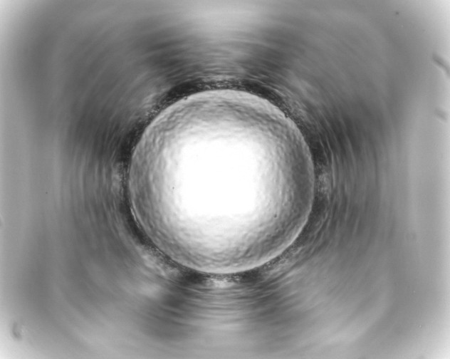 X0000093230662200710241237