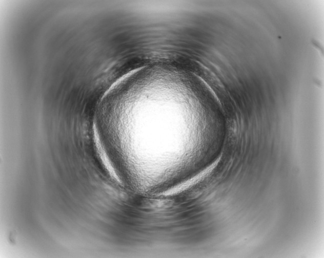 X0000093230663200710241237