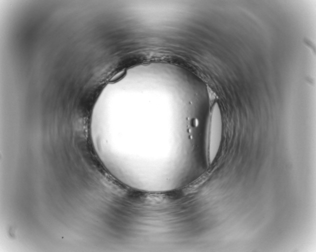 X0000093230666200710241237