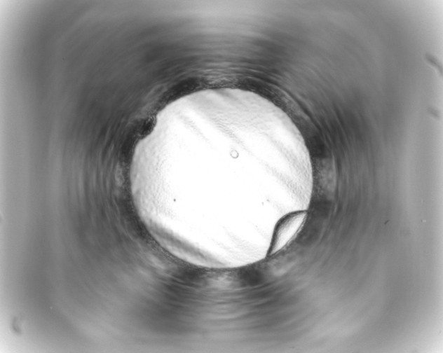 X0000093230667200710241237