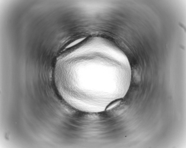 X0000093230668200710241237