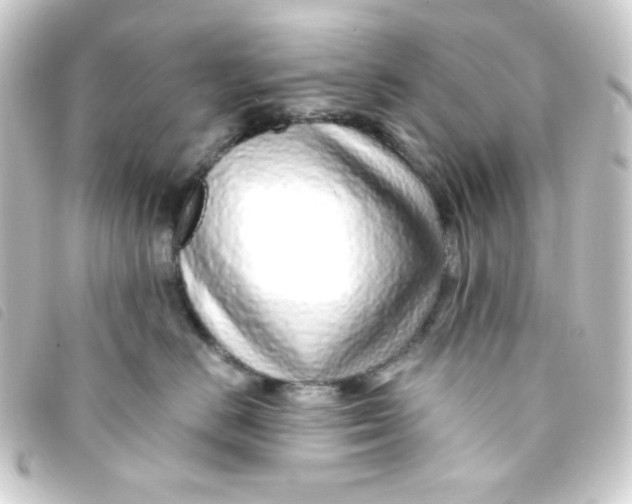 X0000093230670200710241237