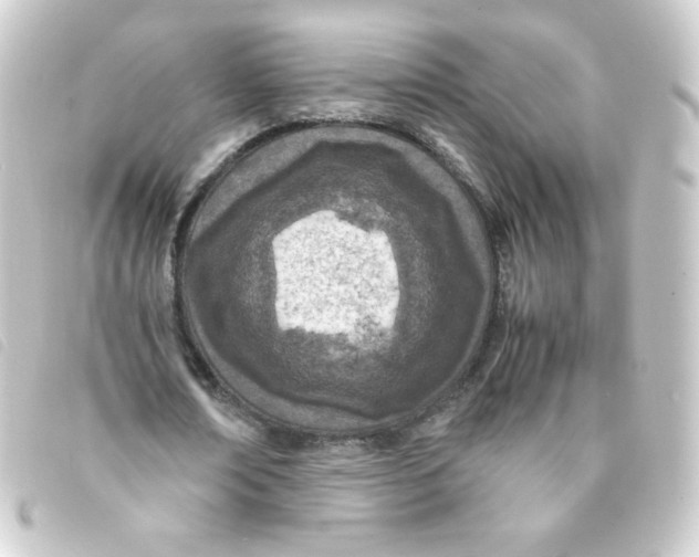 X0000093230674200710241236