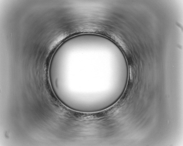 X0000093230675200710241236