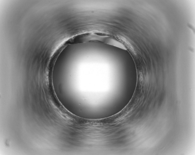 X0000093230676200710241236