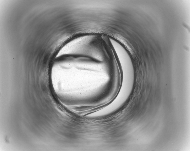 X0000093230677200710241236