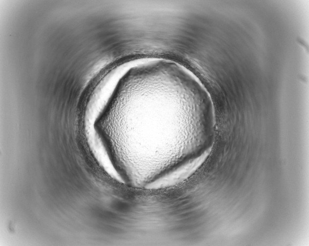 X0000093230679200710241236