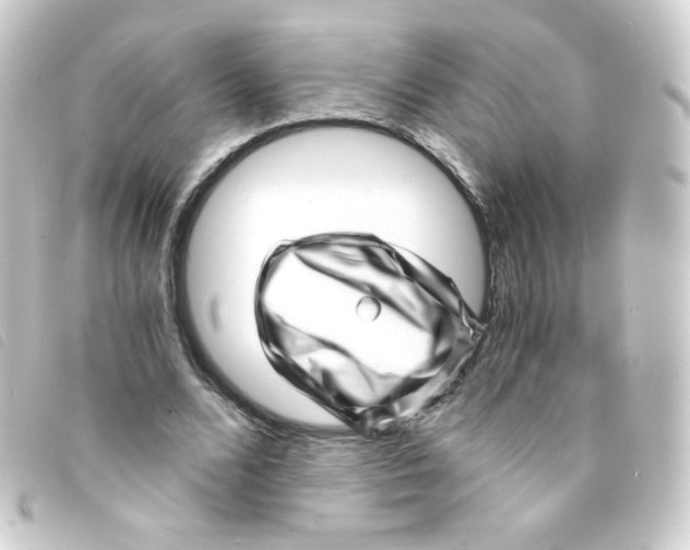 X0000093230680200710241236