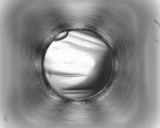 X0000093230681200710241236