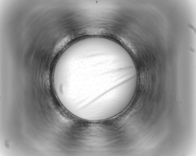 X0000093230682200710241236