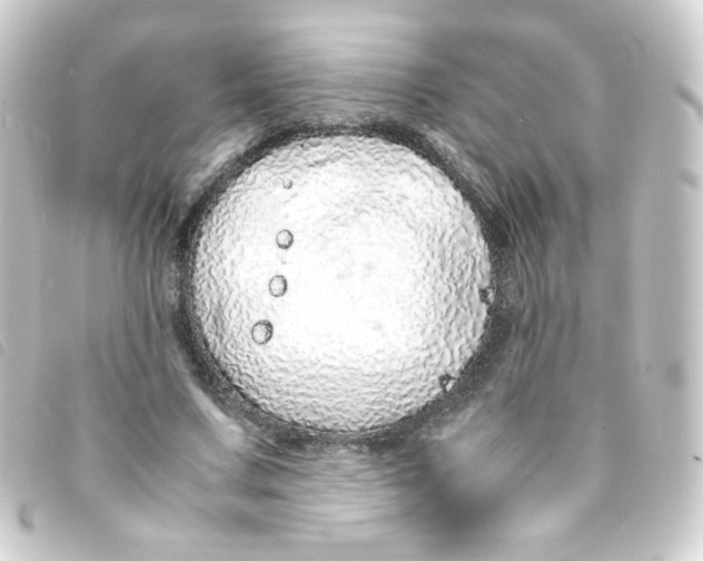 X0000093230683200710241236