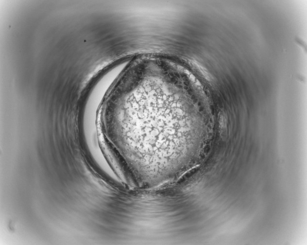 X0000093230684200710241236