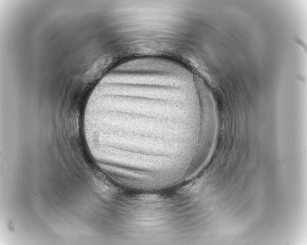 X0000093230685200710241236