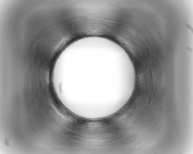 X0000093230686200710241236