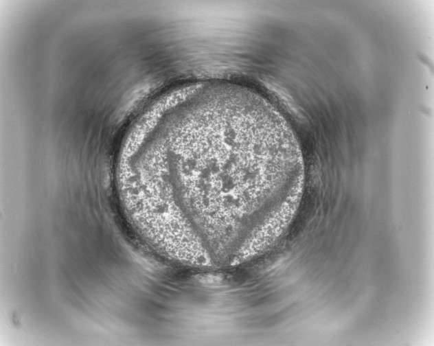 X0000093230687200710241236