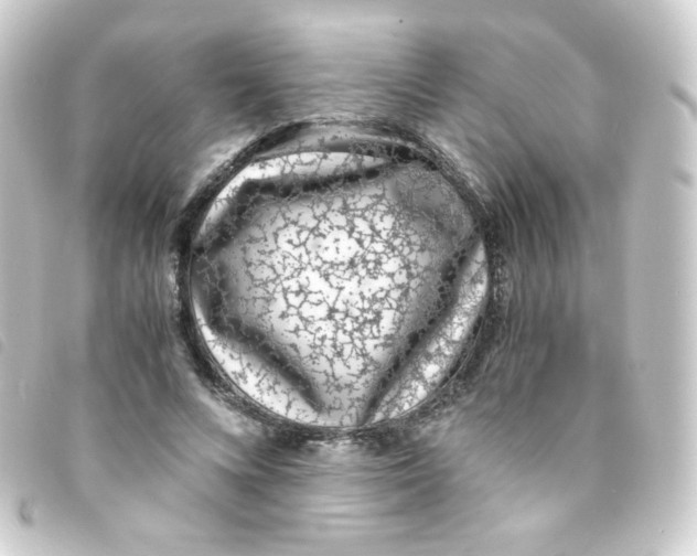 X0000093230688200710241236