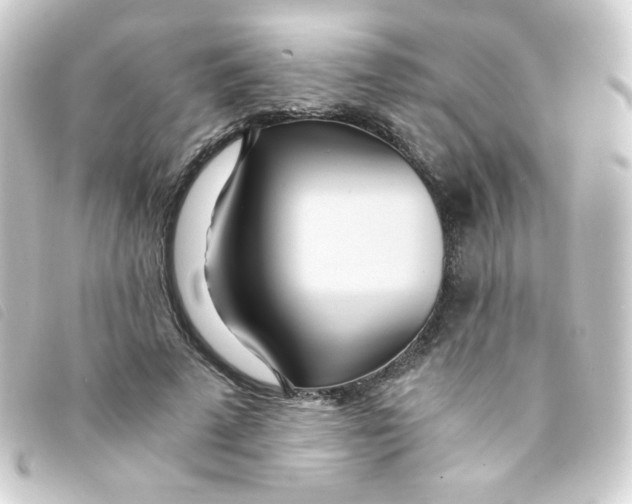 X0000093230689200710241236