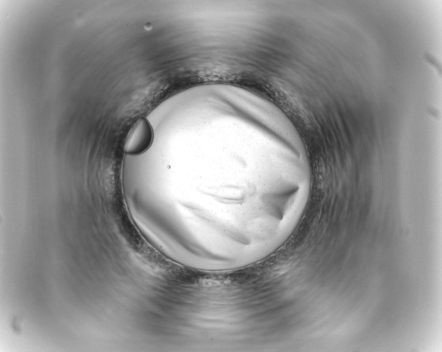 X0000093230690200710241236