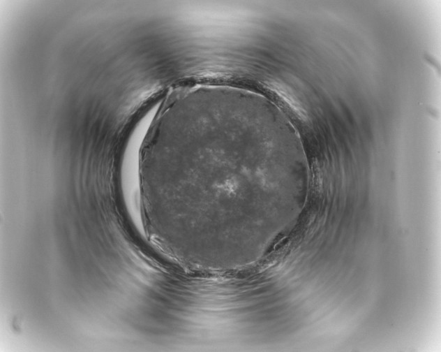 X0000093230692200710241236