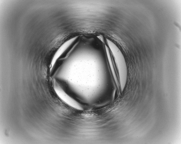 X0000093230693200710241236