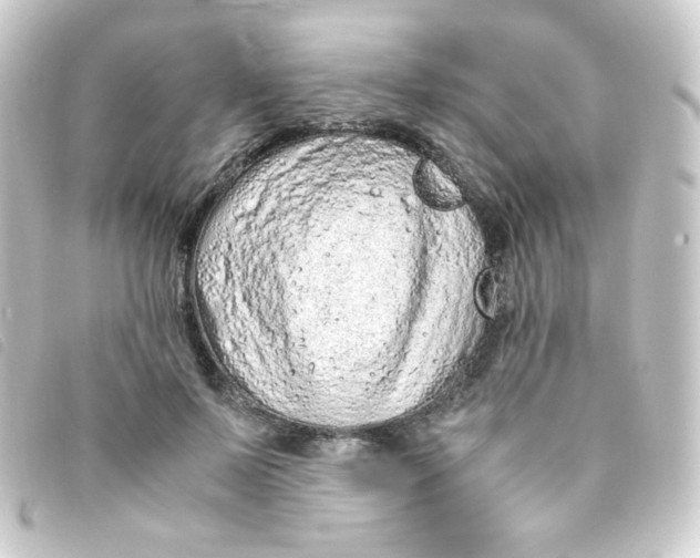 X0000093230695200710241236